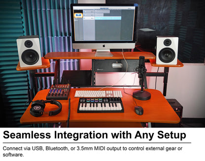 M25 Black Wireless MIDI Keyboard 25-Key + MCB16 Controller Bag Bundle