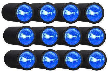 12 PACK MINI HALO BLACK