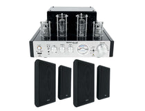 BluTube Tube Amplifier + RockSlim Black 4-Pack Bundle
