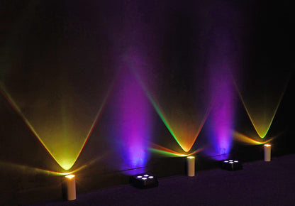 12 PACK MINI HALO WHITE