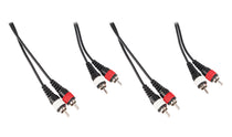 RCDR10B 2-Pack