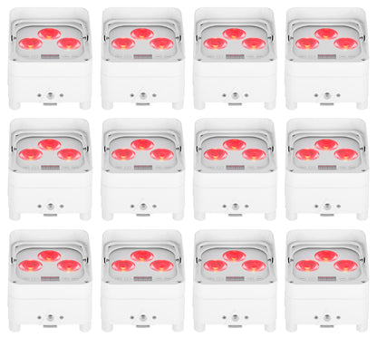 WET PAR 50 WHITE 12-Pack