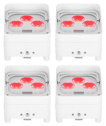 WET PAR 50 WHITE 4-Pack