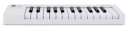 MICROLAB MK3 WHITE+RPAK CHARCOAL