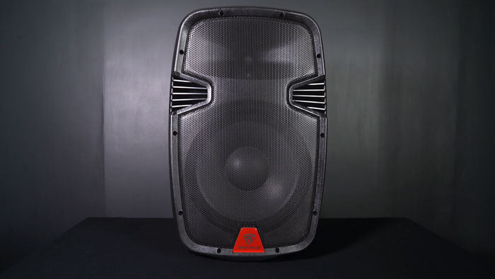 Powerful Portable Sound System