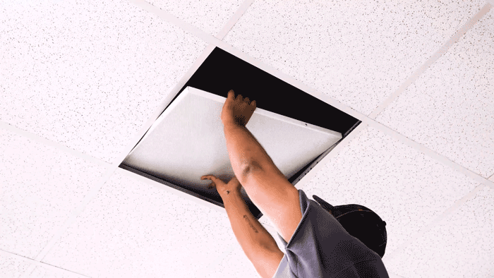 Professional-Grade Construction