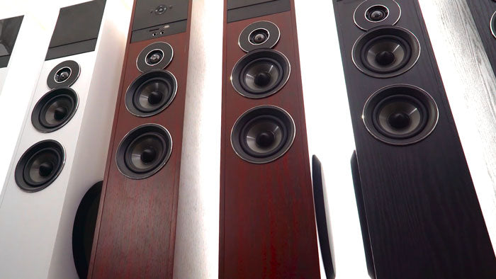 Transform Your Entertainment Experience Today