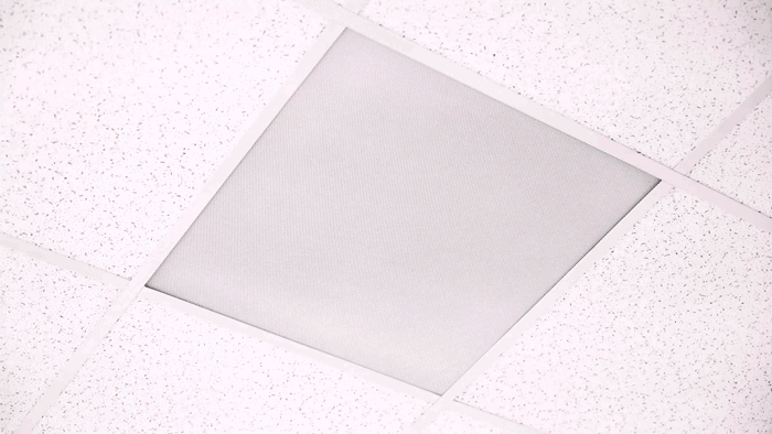 Transform Your Space with Superior Audio