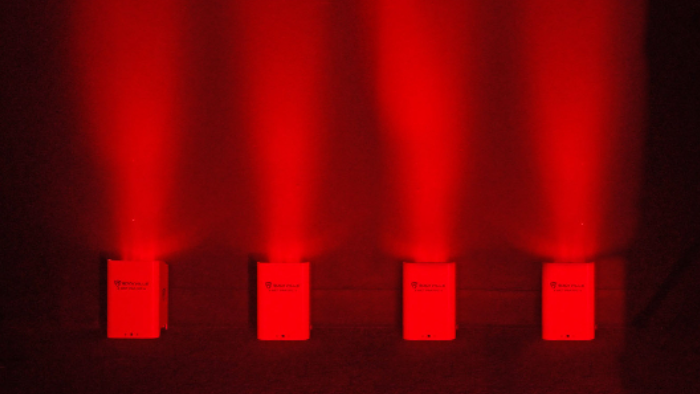 Versatile for Every Occasion